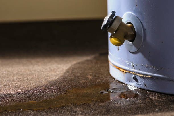 Best Water damage restoration near me  in Oxford, IN