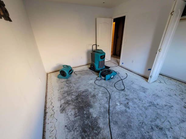 Best Mold removal after water damage  in Oxford, IN