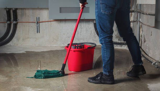 Best Water damage cleanup near me  in Oxford, IN