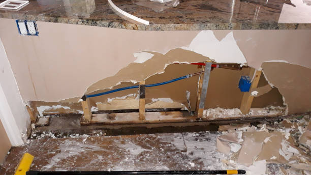Best Professional water damage repair  in Oxford, IN