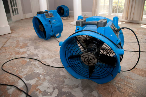 Best 24/7 water damage repair  in Oxford, IN